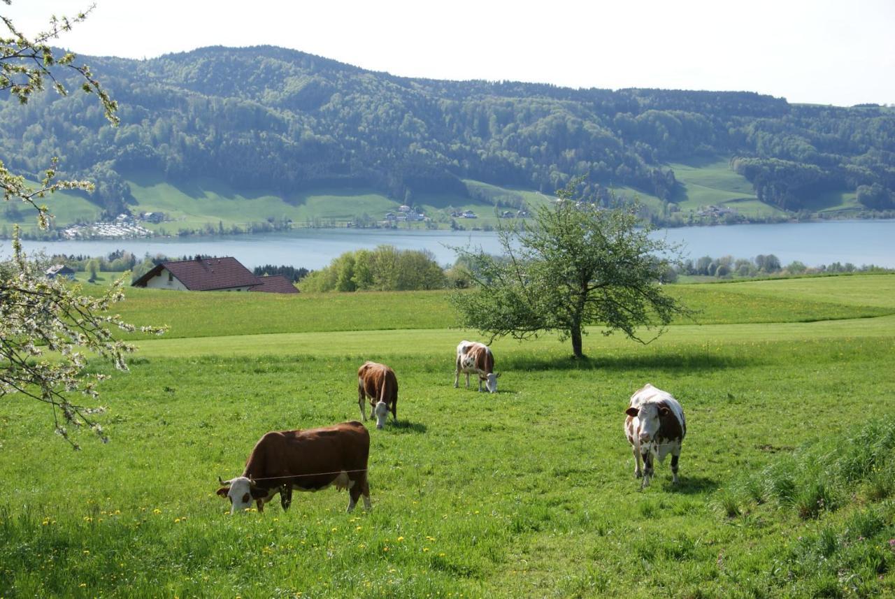 Ferienhof Edtmeier Zell am Moos Buitenkant foto