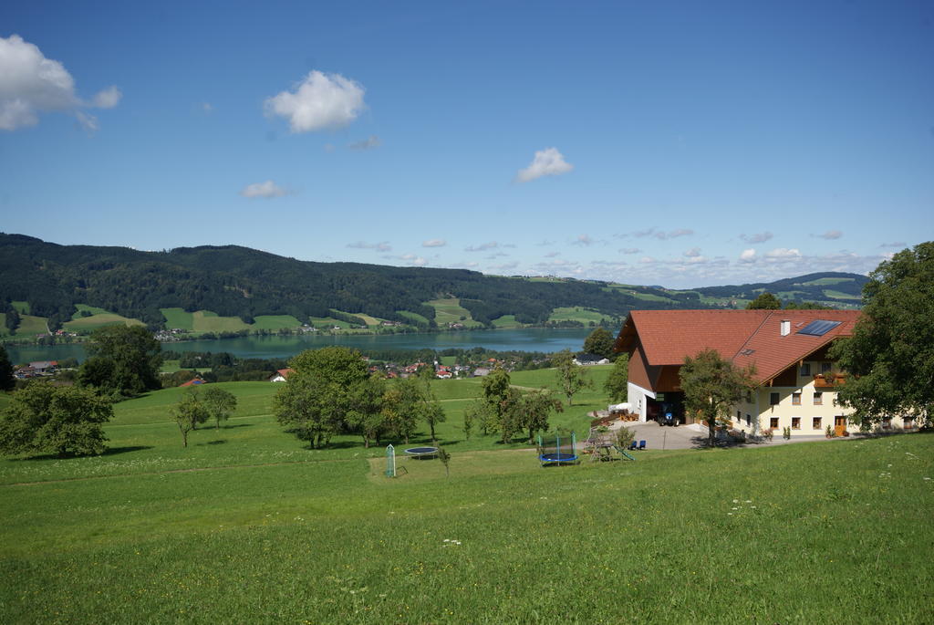 Ferienhof Edtmeier Zell am Moos Buitenkant foto